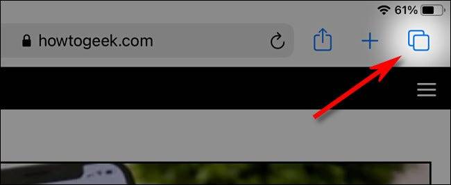 如何在iPad上的Safari上隐藏选项卡栏（或显示它）