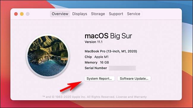 如何查看Mac的内部存储空间有多大