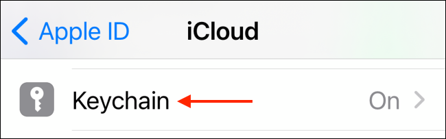 如何在iPhone和iPad上禁用iCloud钥匙串