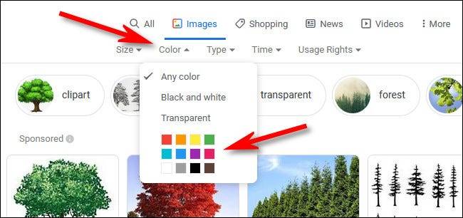 如何按颜色过滤Google图片搜索结果