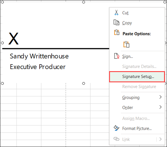 如何在Microsoft Excel中插入和自定义签名行