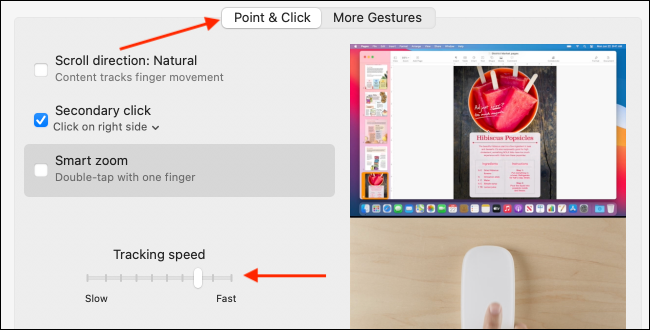 如何在Mac上更改触控板或鼠标的跟踪速度