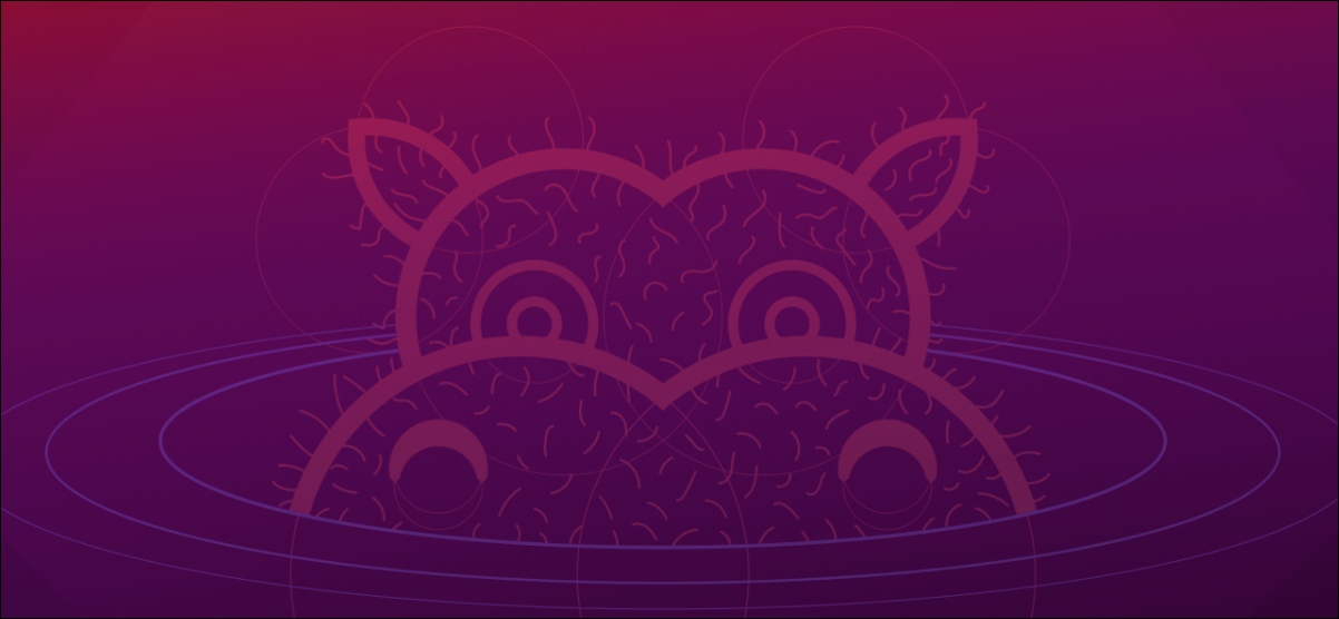 Ubuntu 21.04'Hirsute Hippo'的新功能