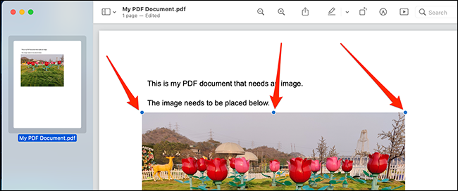 如何在Mac上使用预览将图像添加到PDF