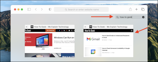 如何在Mac上的Safari中搜索打开的标签页