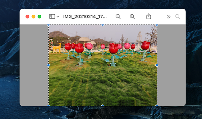 如何在 Mac 上使用预览将图像添加到 PDF