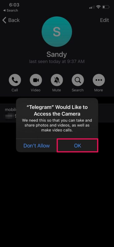 如何在 iPhone / iPad 上使用 Telegram 进行视频通话