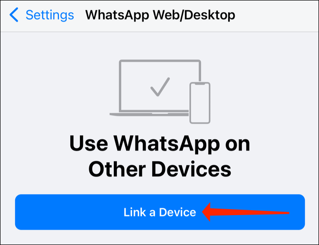 如何在桌面上进行 WhatsApp 语音或视频通话