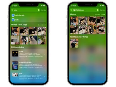 iOS 15：如何使用 Spotlight 搜索照片