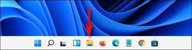 如何在 Windows 11 上显示隐藏文件