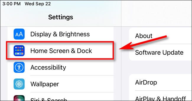 如何隐藏 iPad Dock 上的应用程序库