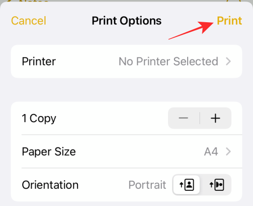 iOS 15：如何在 iPhone 和 iPad 上打印为 PDF
