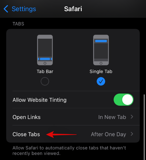 如何在 iOS 15 上的 iPhone 上自定义 Safari 地址栏