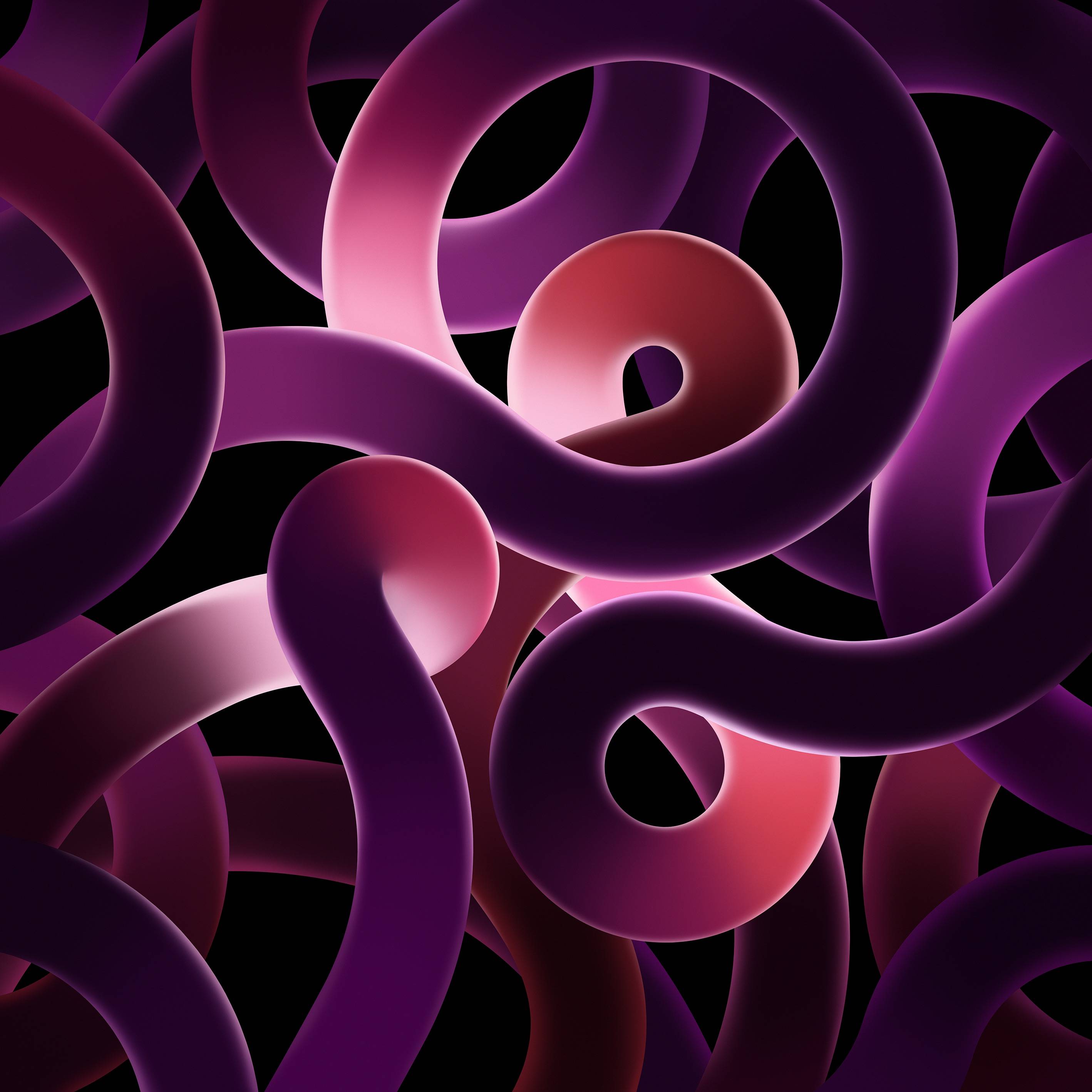 2092.Ribbons_Pink_Dark-820w-1180h@2xipad-1