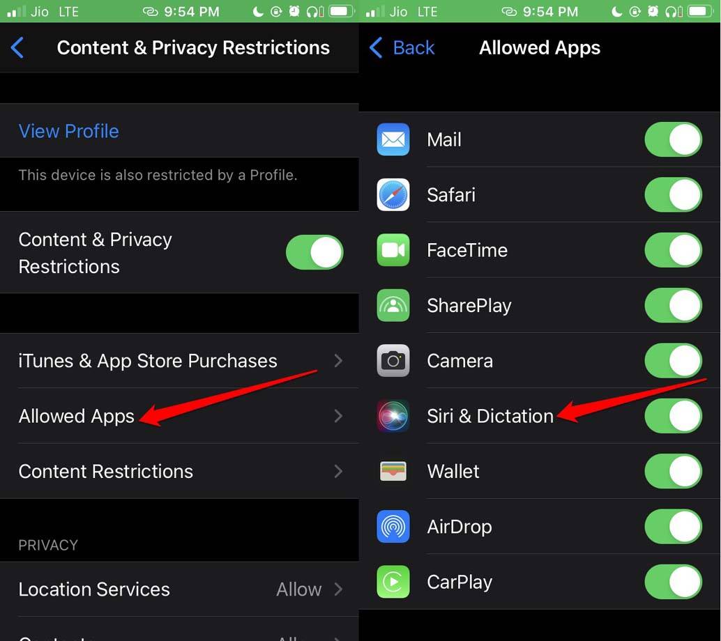 enable-siri-and-dictation-on-iPhone