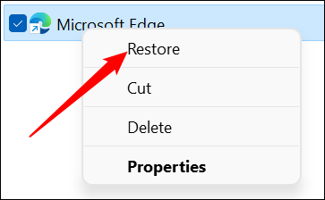 如何从 Windows 上的回收站恢复已删除的恢复恢复