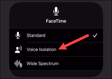 如何使用麦克风模式改善 FaceTime 音频