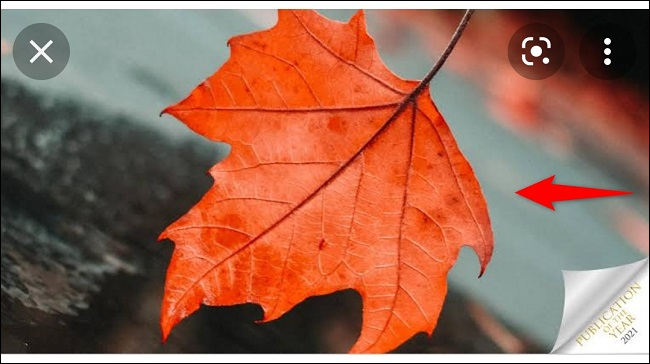 6-google-image-mobile-tap-photo