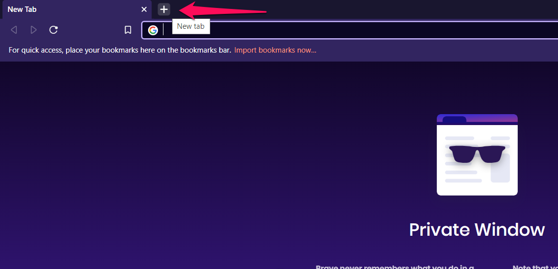 New_Private_Plus_icon_in_Brave_Browser
