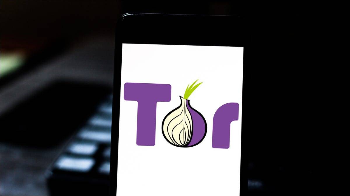 tor-logo-smartphone