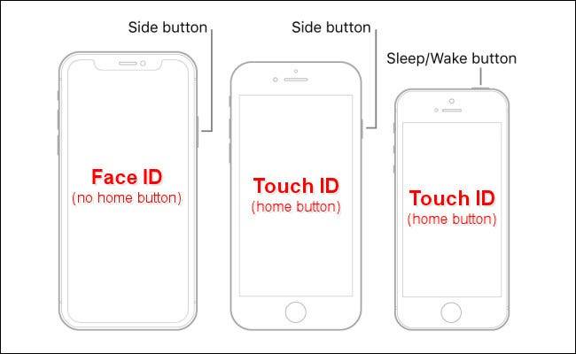 哪些 iPhone 有 Touch ID？