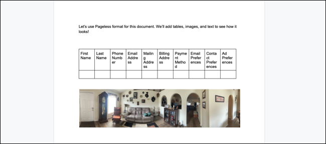 PagesFormat-GoogleDocsPagelessFormat