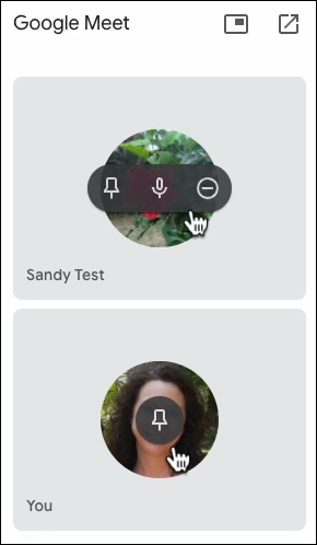ParticipantControls-GoogleMeetDocsSheetsSlides ParticipantControls-GoogleMeetDocsSheetsSlides