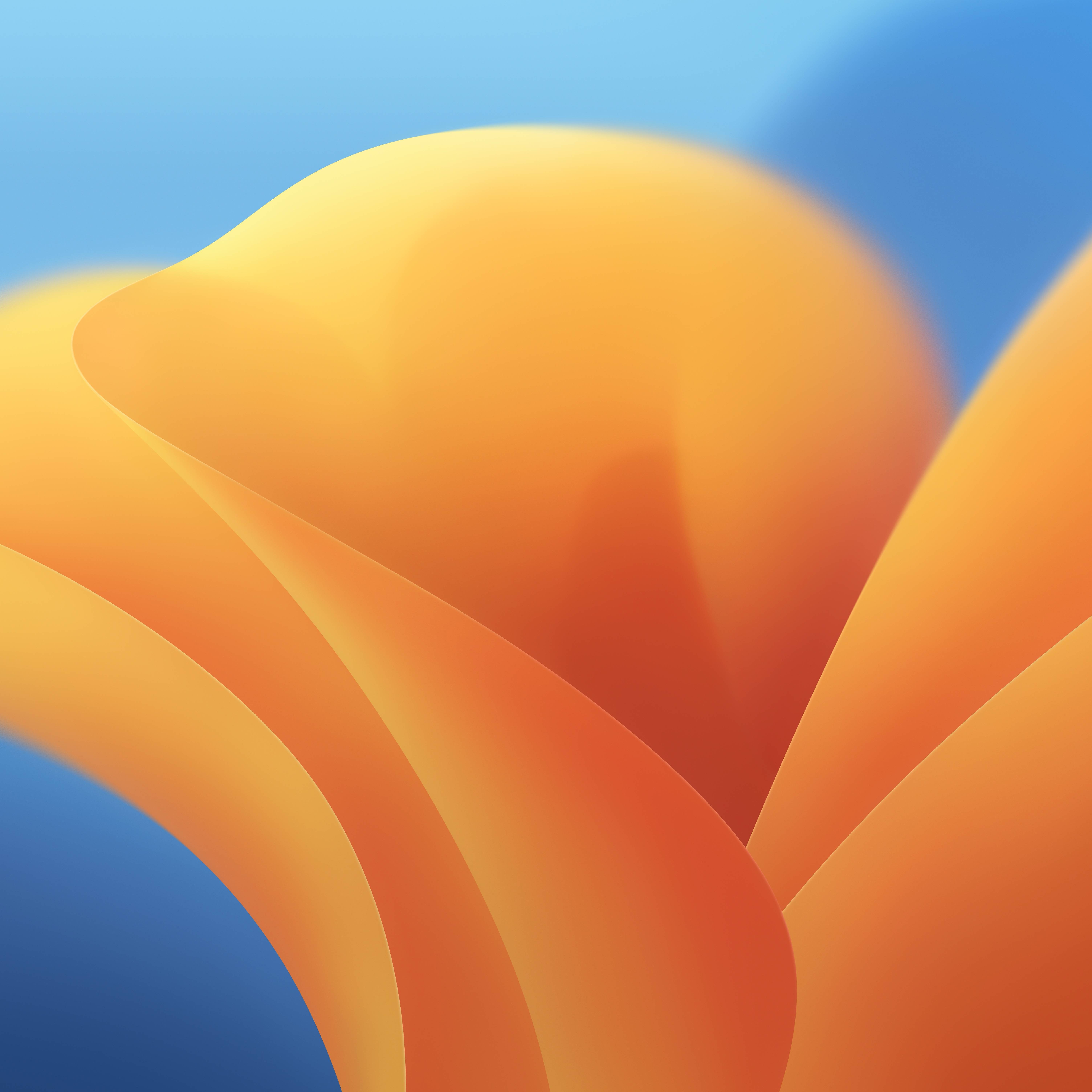 macOS 13 Ventura 包含新壁纸，您可以在此处下载