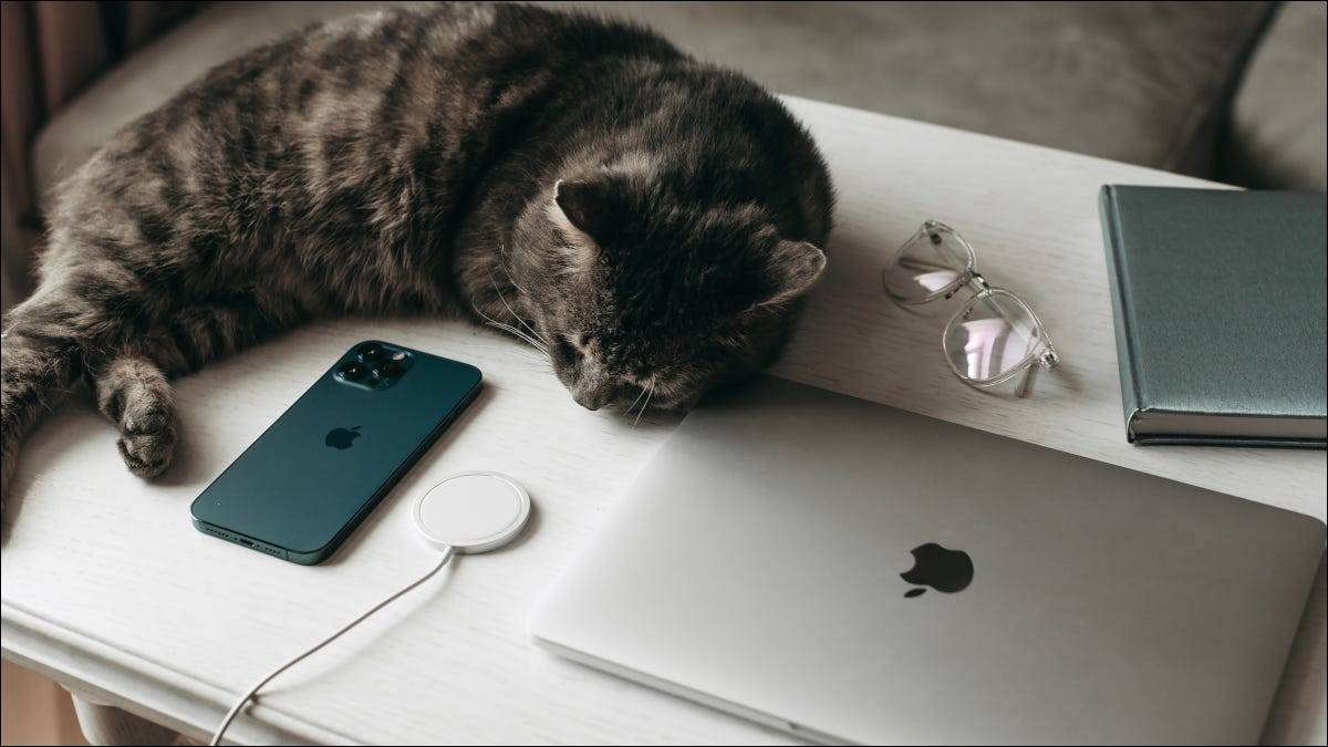 macbook-pro-iphone-cat