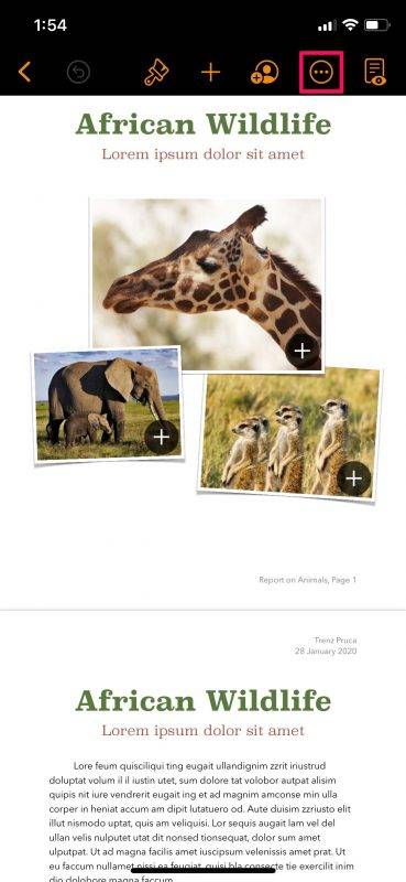 how-to-find-word-count-pages-2-369x800-1