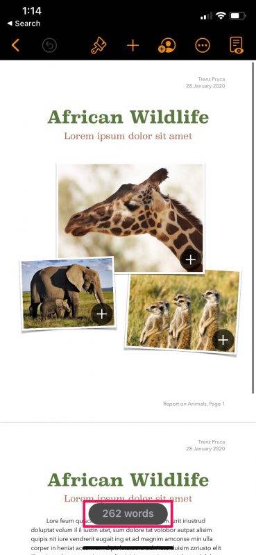 how-to-find-word-count-pages-4-369x800-1