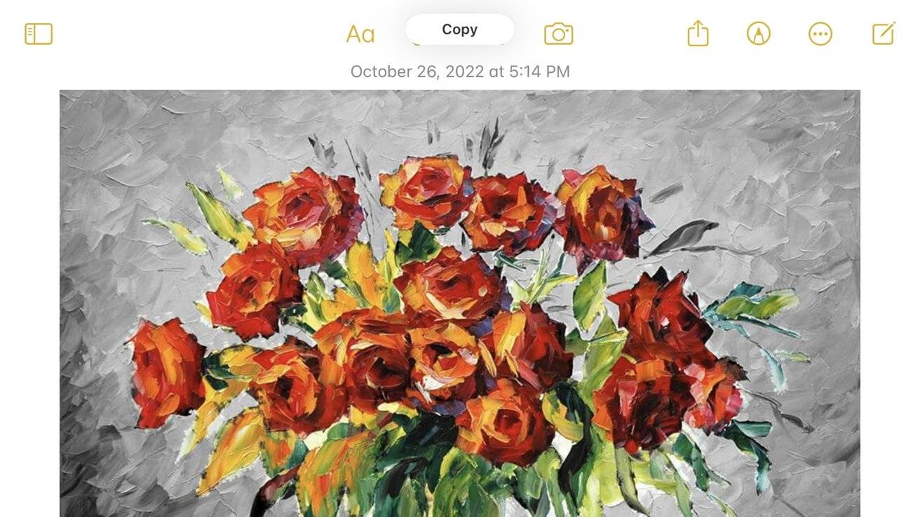 51063-100863-IMG_2145-xl