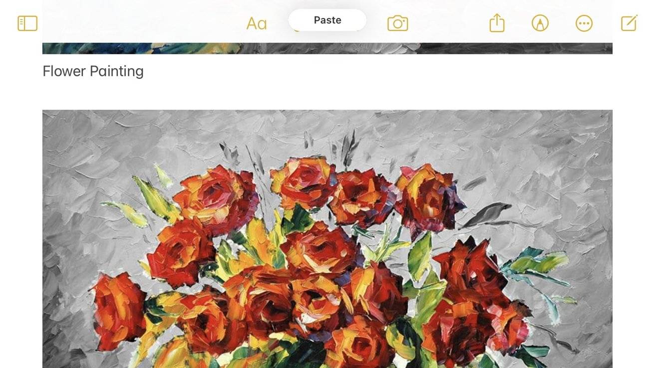 51063-100864-IMG_2149-xl