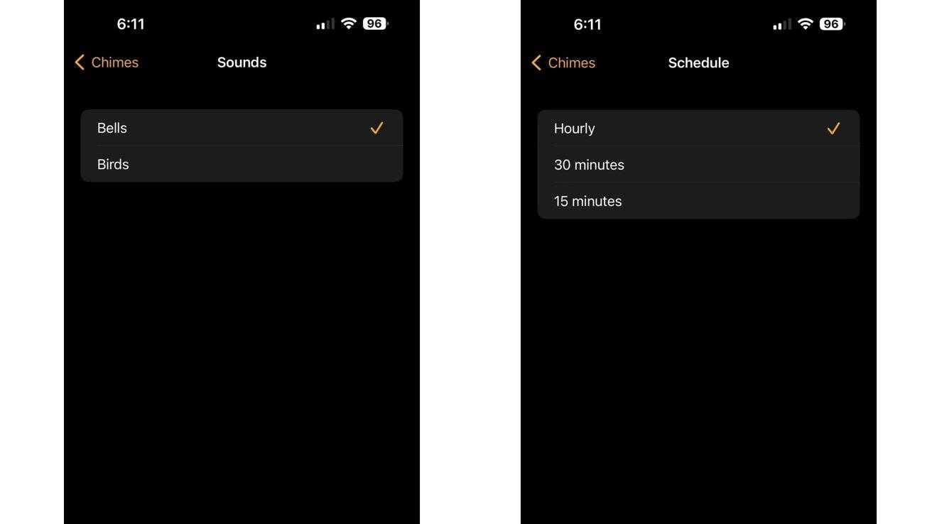 51236-101239-IMG_2200-xl