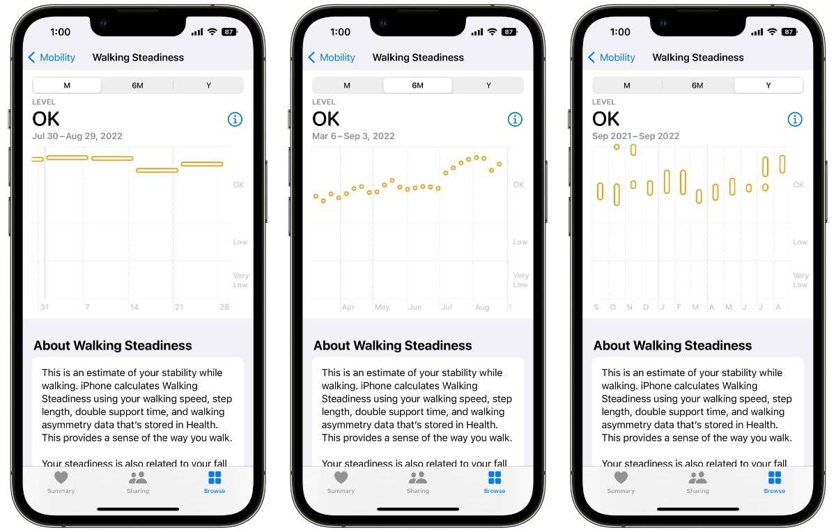 50161-98448-Walking-steadiness-chart-xl