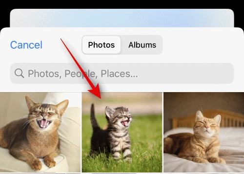 Select-the-photo-you-want-to-use-as-a-sticker