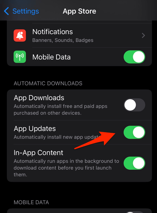 Enable_Auto_App_Updates_for_App_Store_in_iPhone_Settings