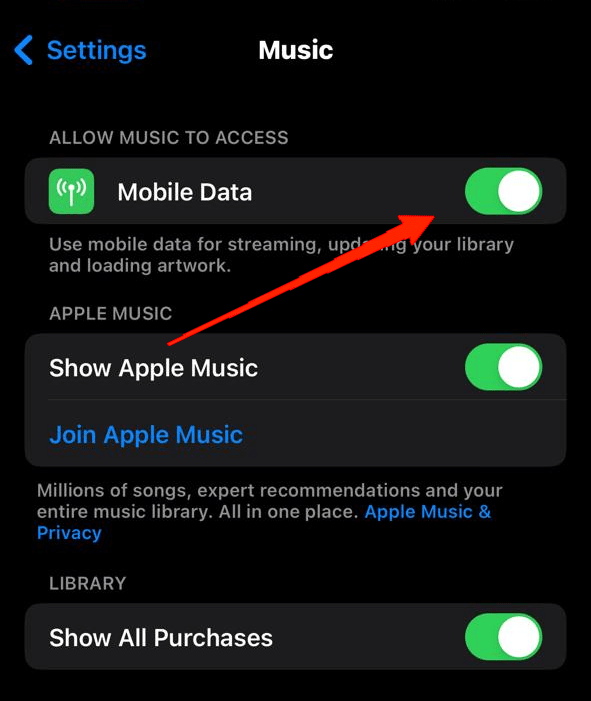 allow-music-to-access