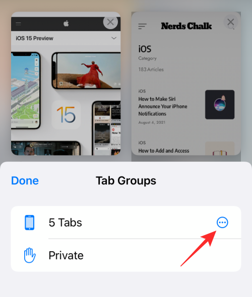 copy-links-of-all-open-tabs-from-safari-14-a