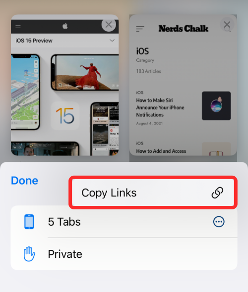 copy-links-of-all-open-tabs-from-safari-15-a