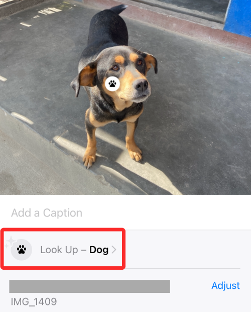 fix-visual-look-up-21-a fix-visual-look-up-21-a