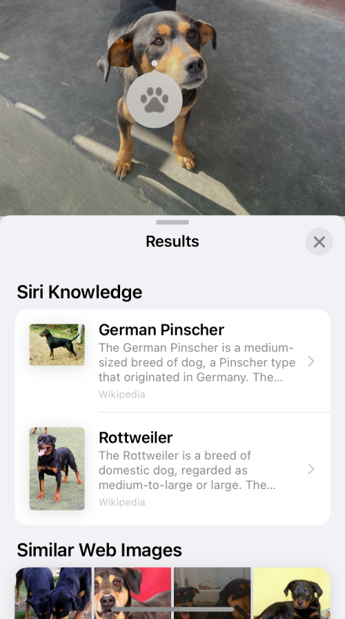 fix-visual-look-up-22-a fix-visual-look-up-22-a