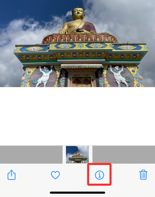 fix-visual-look-up-24-a fix-visual-look-up-24-a