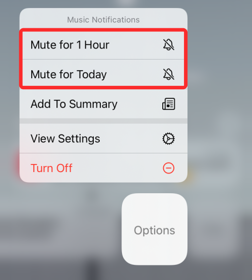 how-to-silence-calls-and-notifications-on-ios-15-14-a