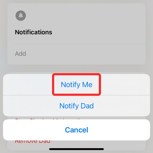 ios-15-find-my-get-notifications-for-a-friend-14-a
