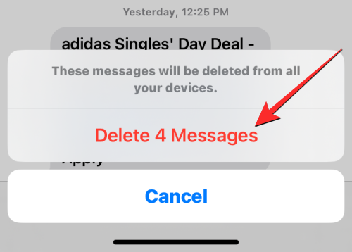 ios-16-recently-deleted-messages-15-a