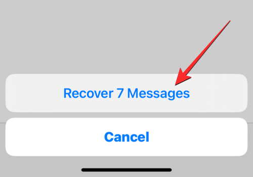 ios-16-recently-deleted-messages-25-a