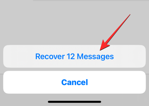ios-16-recently-deleted-messages-27-a