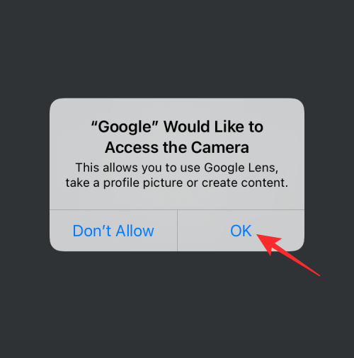 reverse-image-search-on-iphone-101-a reverse-image-search-on-iphone-101-a