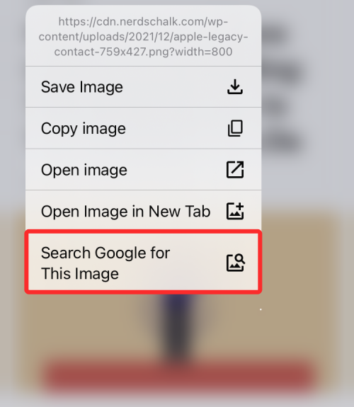 reverse-image-search-on-iphone-110-a reverse-image-search-on-iphone-110-a